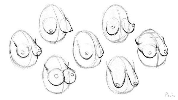 Wide Variety of Breasts Sizes and Shapes