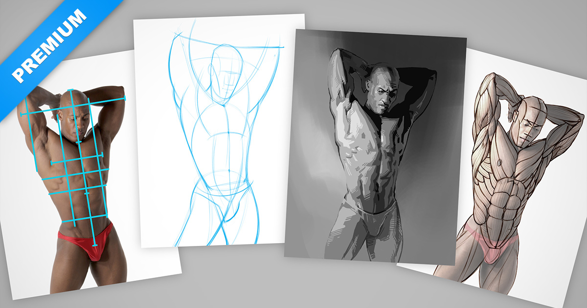 Torso Drawing Part 1 Studies Proko