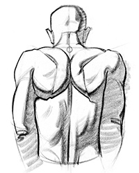 How to Draw Upper Back Muscles - Form | Proko