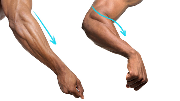 Featured image of post Muscular Male Arm Reference