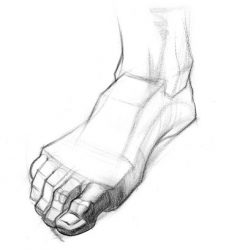 How to Draw Feet | Proko